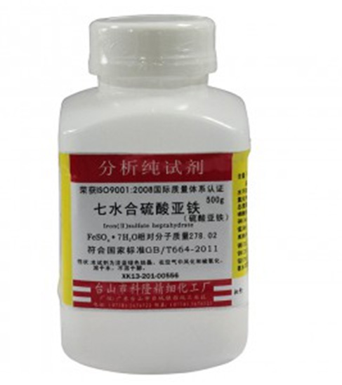 麻豆妖精观看在线